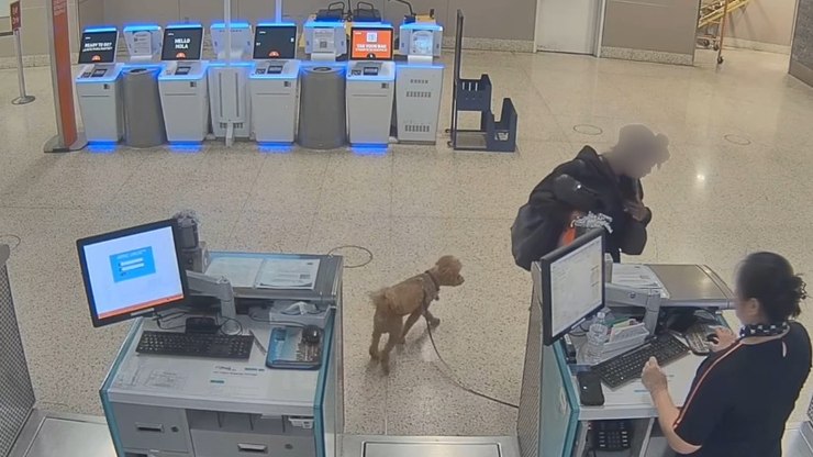 Mulher é presa após abandonar cachorro no check-in de aeroporto