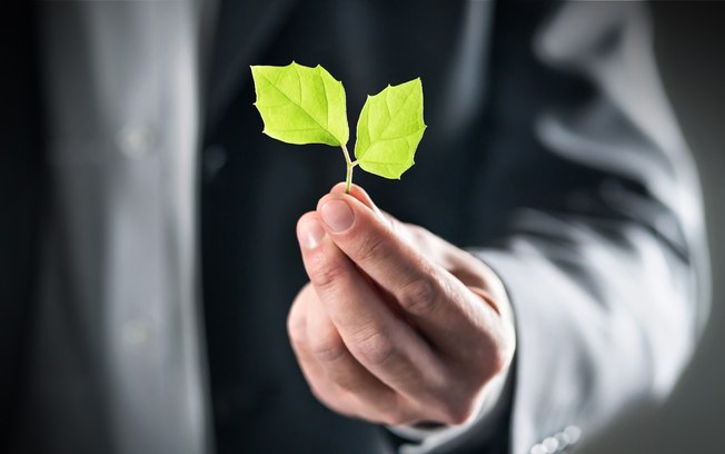 Três formas de melhorar as classificações ESG