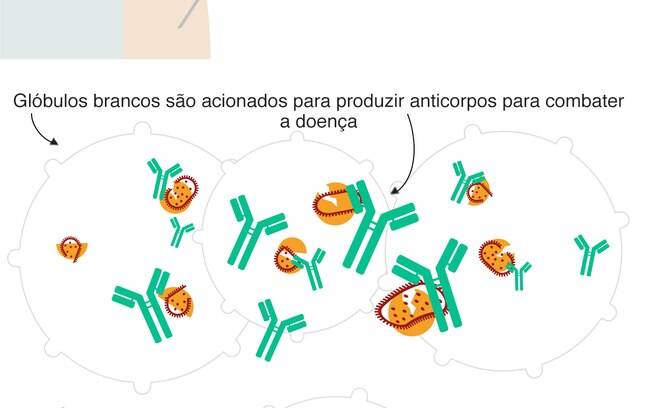 grafico grafico