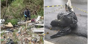 Serial killer ou tribunal do crime? Corpos em sacos intrigam SP