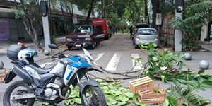 Ventos de 75 km/h provocam queda de árvores e interdições no Rio