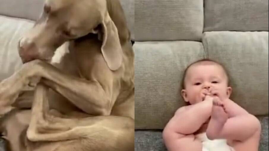 Bebê e cachorro são filmados em momento inusitado 