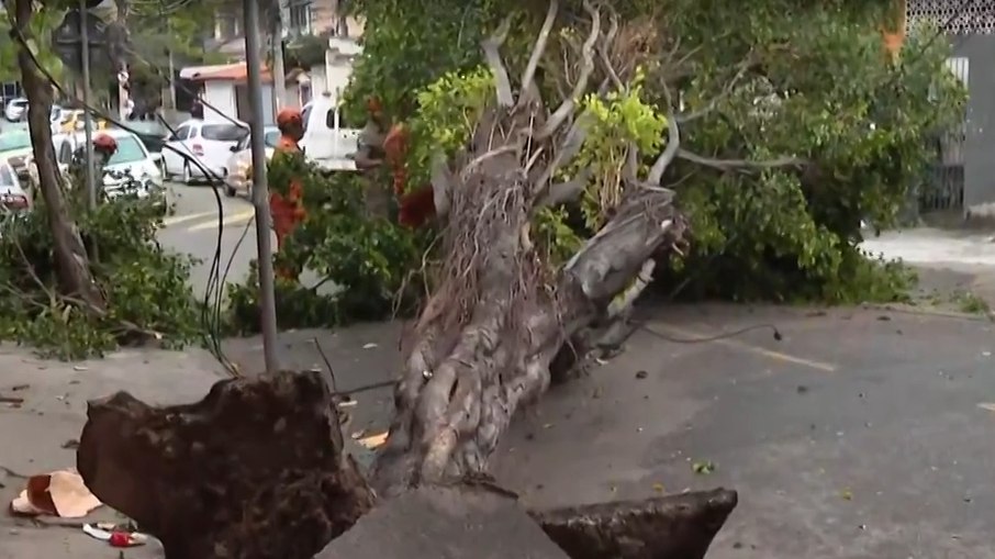 Ventania causa transtorno e deixa Rio de Janeiro em alerta Ventania causa transtorno e deixa Rio de Janeiro em alerta