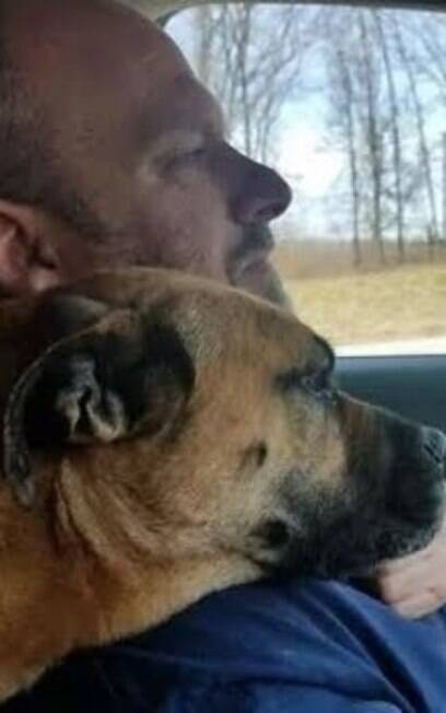 O cão foi adotado após invadir carro de homem