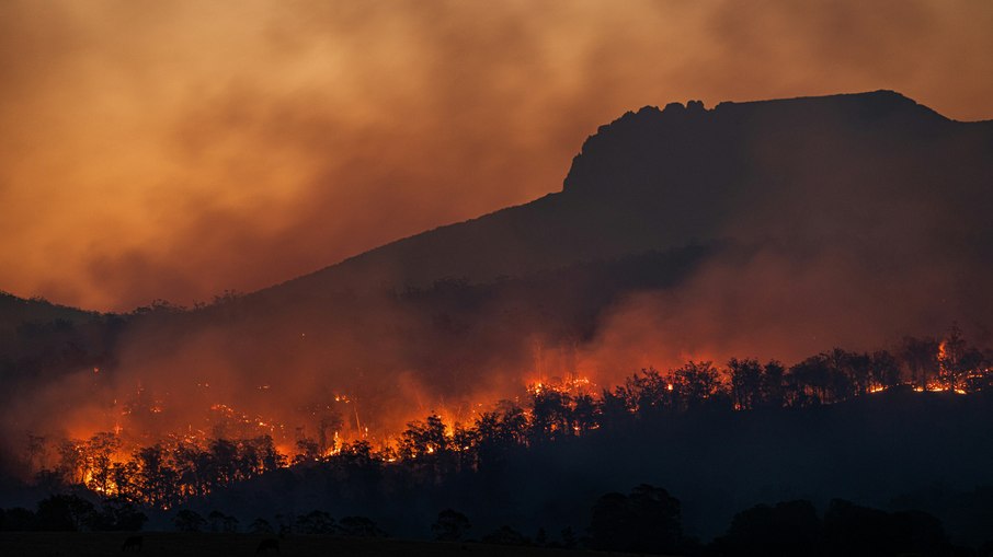Tribunal aponta obrigações legais para combater crise climática Tribunal aponta obrigações legais para combater crise climática