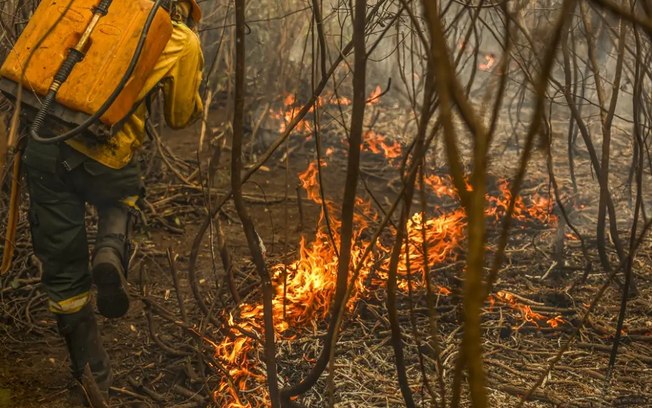 Precisamos de prefeitos que defendam a pauta climática pelo Brasil