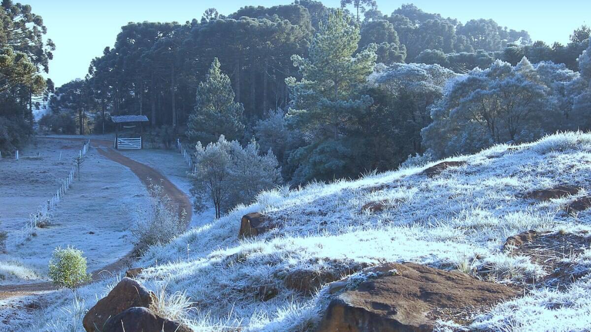 Minas tem alerta de frio intenso com geada e temperaturas em até 2ºC