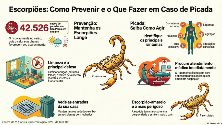 O que fazer em caso de picada de escorpião
