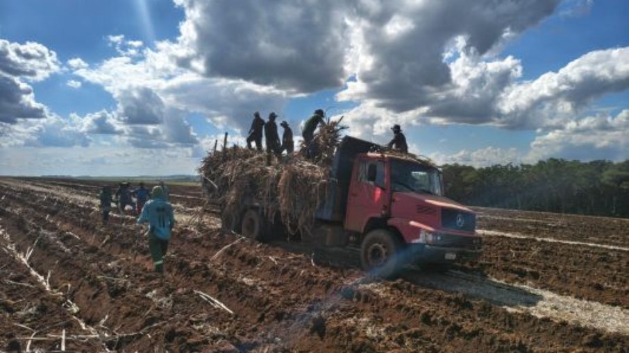 Exposição a risco grave de vida e queda dos trabalhadores