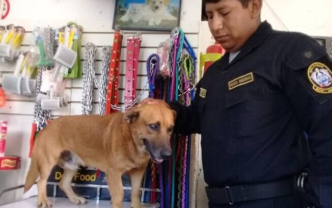 Chato, o ex-cão de rua com um de seus donos