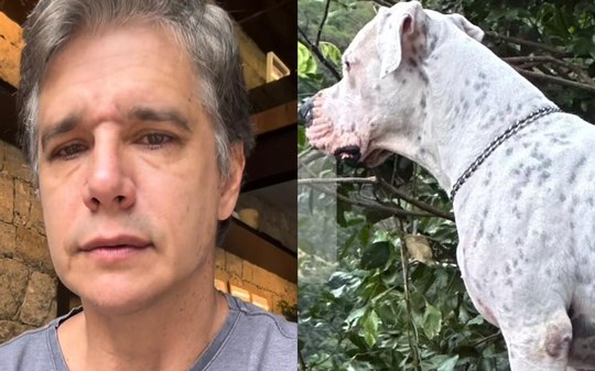 Marcio Garcia anuncia morte de cachorro após luta contra câncer