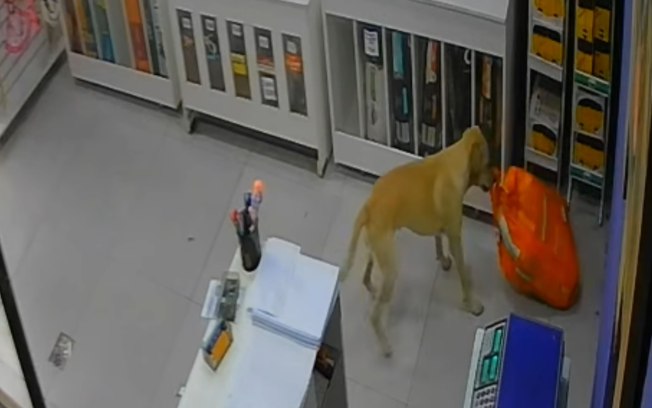 Eymdwo7nzu9xxn7kmhucuonnq