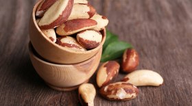 Entenda o que é bioprospecção e sua importância