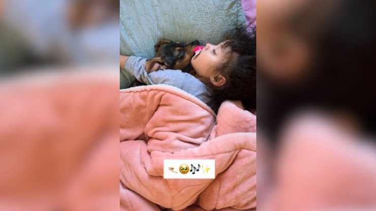 Menina é flagrada dormindo abraçada ao cachorro; vídeo