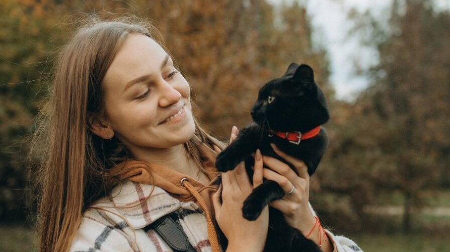 Associação positiva é o segredo para que o pet responda ao ser chamado; veja como ensiná-lo