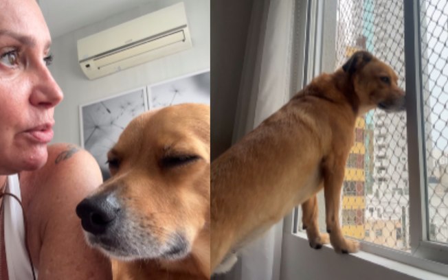 Ezly77kq3spfdl9a0xirdcweh