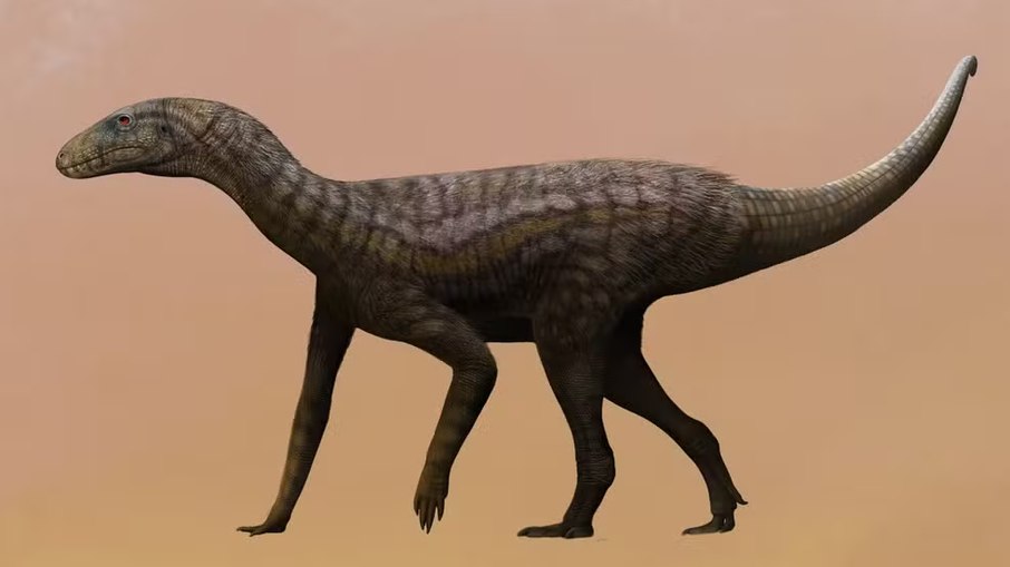 Animal mais antigo que Dinossauros foi encontrado no Brasil