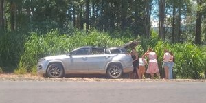 Bebê morre após eucalipto atingir carro da família em rodovia