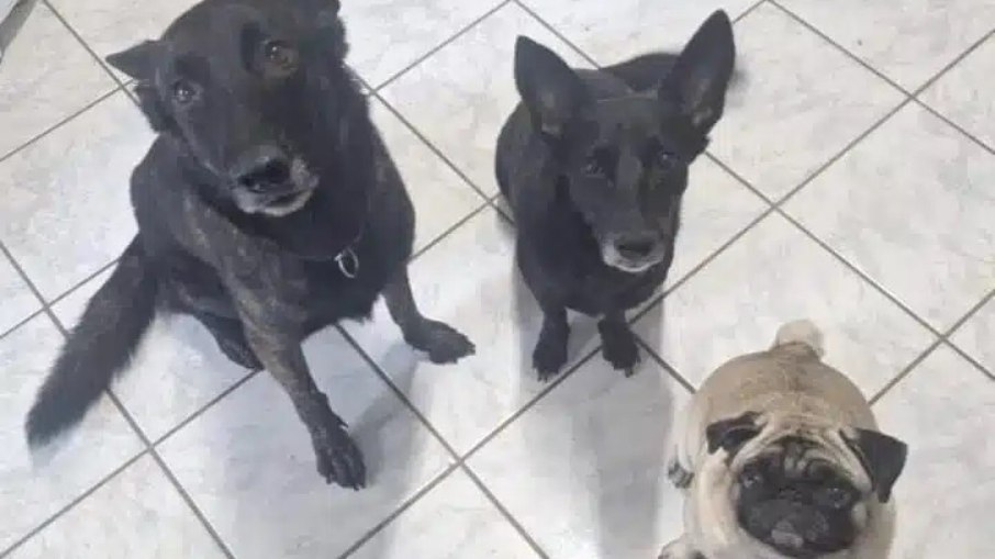 Após a adaptação, Zoe agora convive com suas duas irmãs, Betina e Kenny