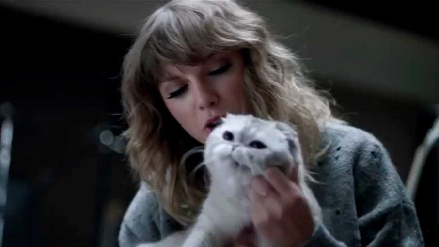 A pequena Olivia é um dos três gatinhos que a cantora Taylor Swift