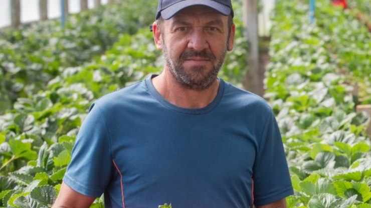 Babá assume papel em plano para matar a patroa