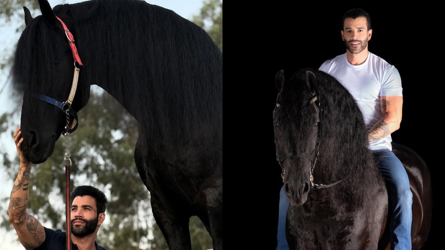 Gusttavo Lima investe em criação de cavalos holandeses.