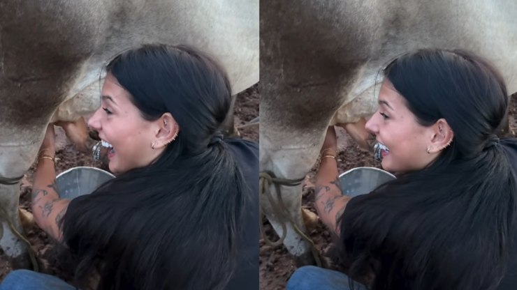 Cantando, Ana Castela ordenha vaca na fazenda de Leonardo