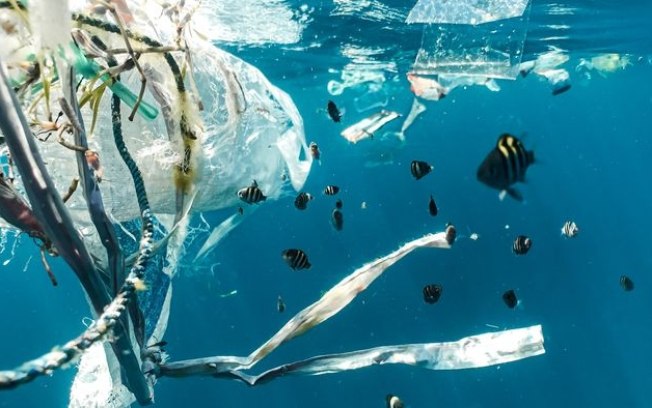 Novo plástico biodegradável pode ser comido por animais marinhos