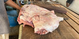 Carne ilegal de capivara é apreendida em feira no Amazonas