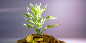 BB anuncia mais de R$ 2 bi em financiamentos sustentáveis