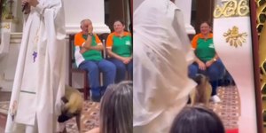 Cachorro caramelo interrompe missa ao puxar batina de padre