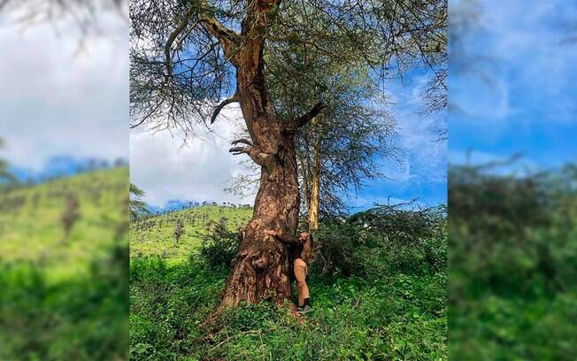 Destino dos Famosos: a beleza natural da Tanzânia além do safári no Serengeti