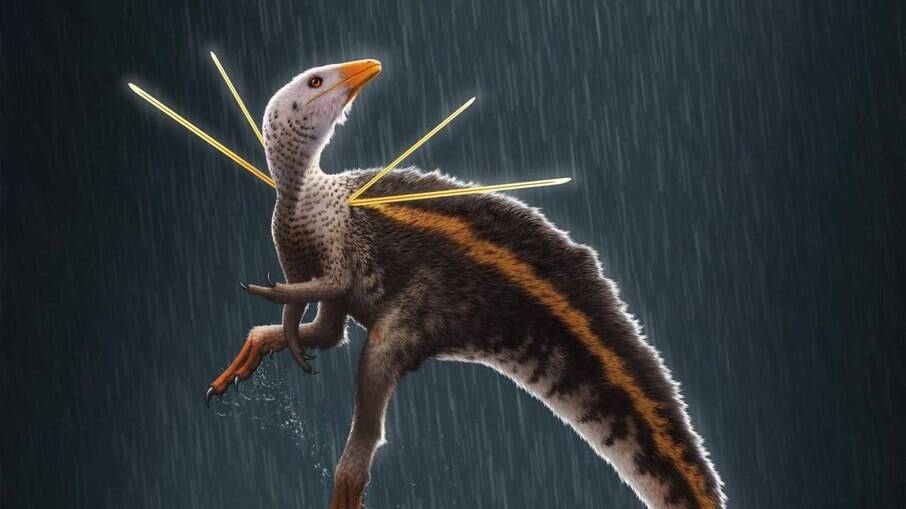 Museu alemão se recusa a devolver fóssil de dinossauro 'brasileiro'