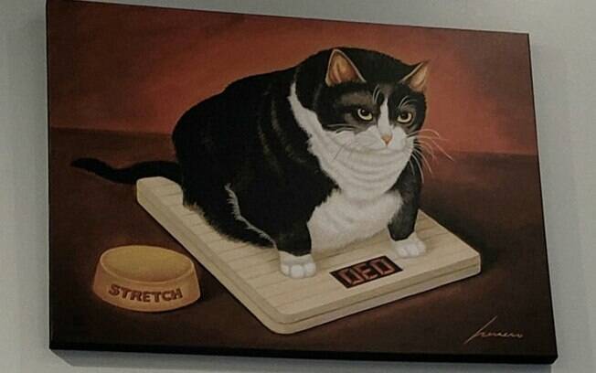 Pintura de gato gordo
