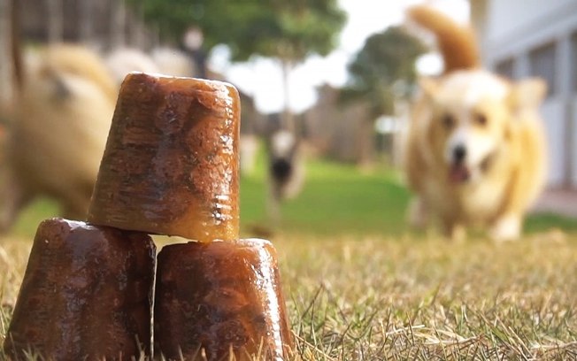 Alimentação úmida ajuda pets a enfrentar o calor F34f59tddxfhftpfhrul5hey8