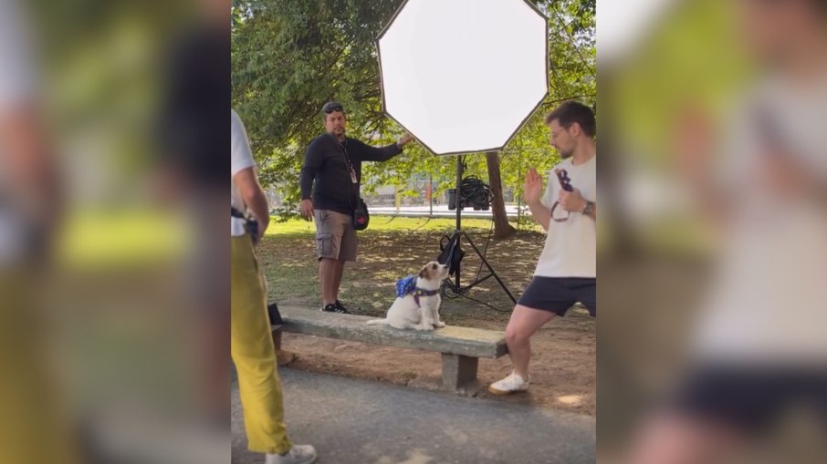 Cachorrinha de Cachorrinha de