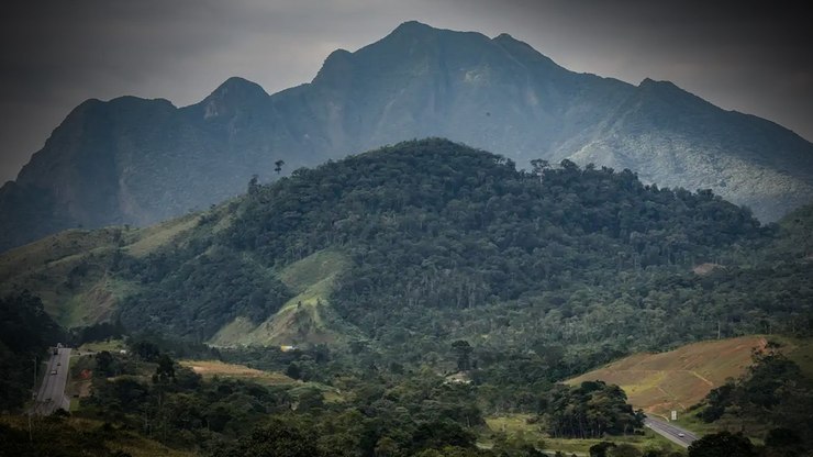 SOS Mata Atlântica mobiliza setor privado para conservação do bioma