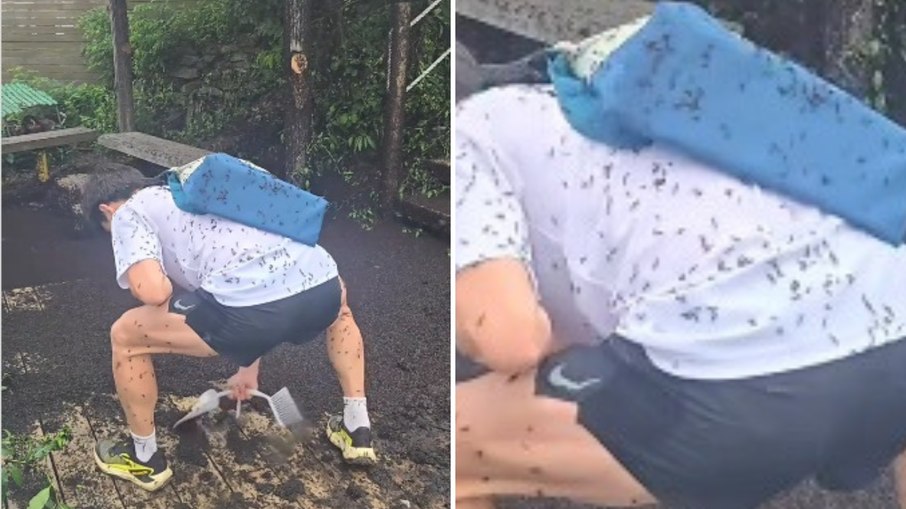 Rapz remove insetos mostos e é atacado por vários outros