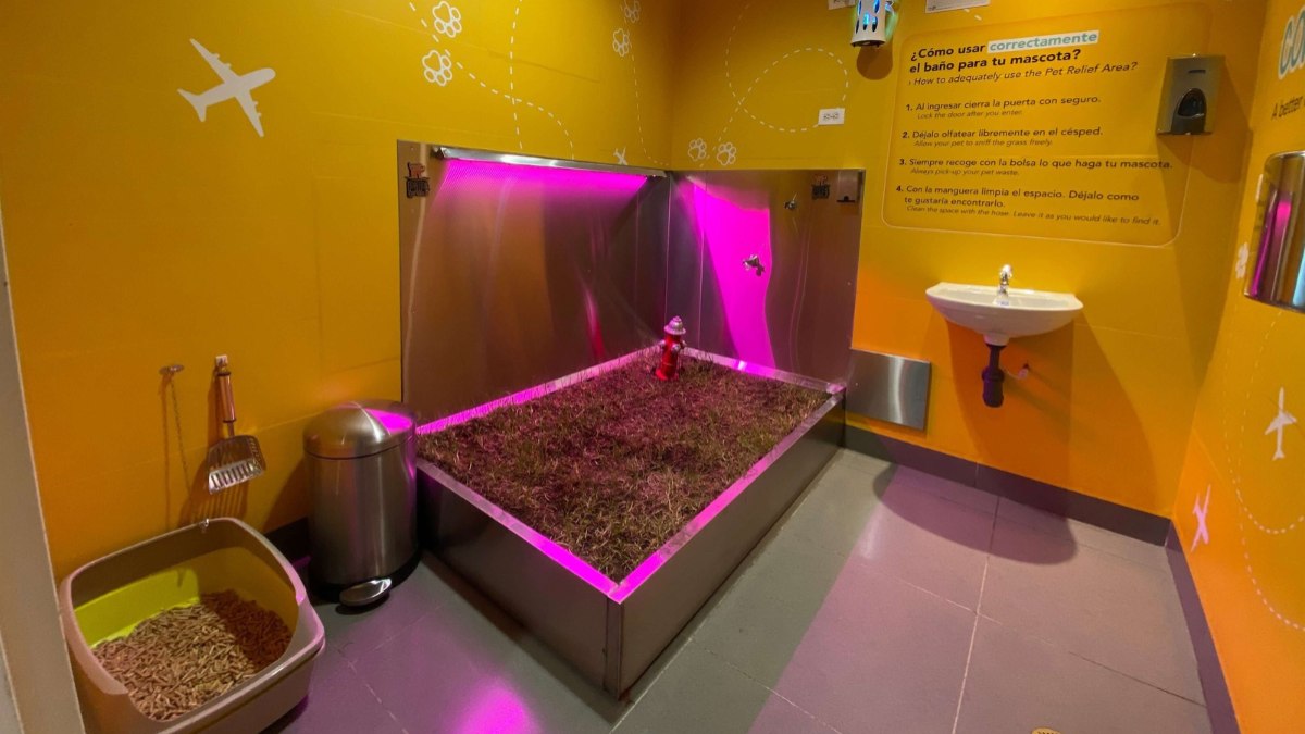 mulher mostra banheiro exclusivo para pets no aeroporto