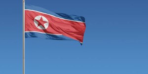 Coreia do Norte sugere sopa de carne de cachorro para combater calor recorde