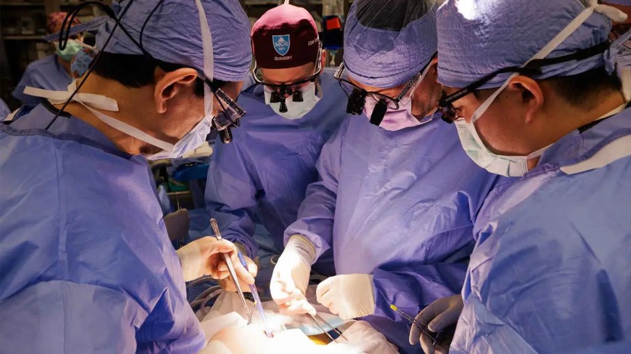 Xenotransplantação é uma técnica que usa órgãos de animais em transplantes para seres humanos