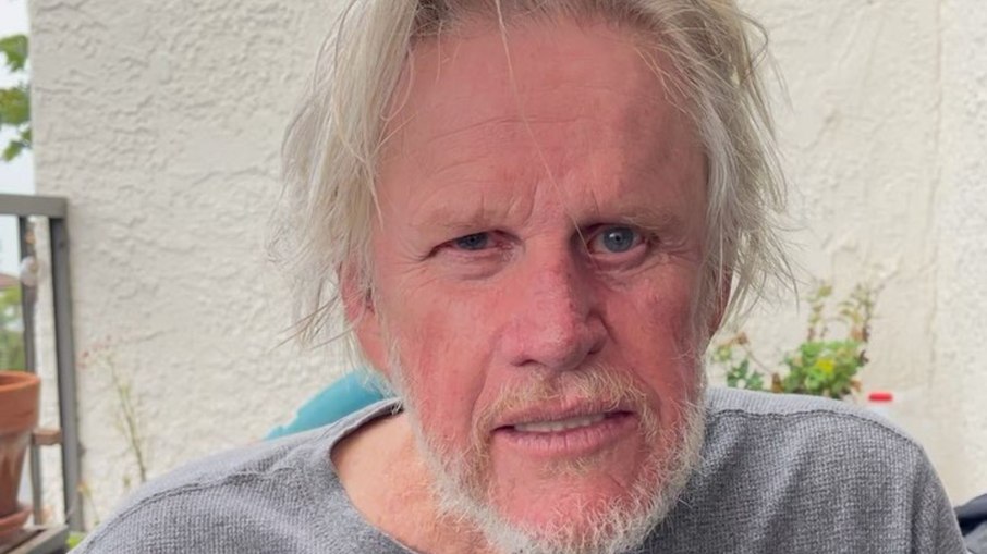 Gary Busey é acusado de assédio por três mulheres