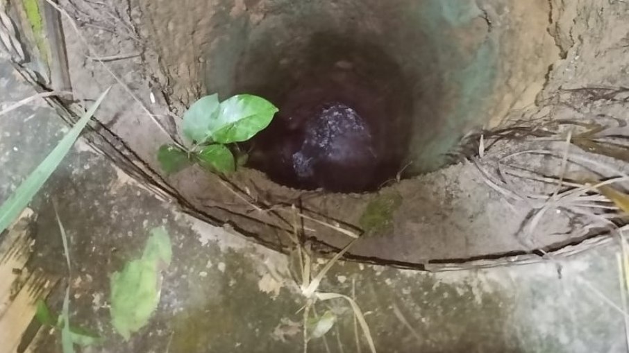 Idoso caiu por volta das 15h na cisterna e permaneceu até à noite, quando foi localizado Idoso caiu por volta das 15h na cisterna e permaneceu até à noite, quando foi localizado