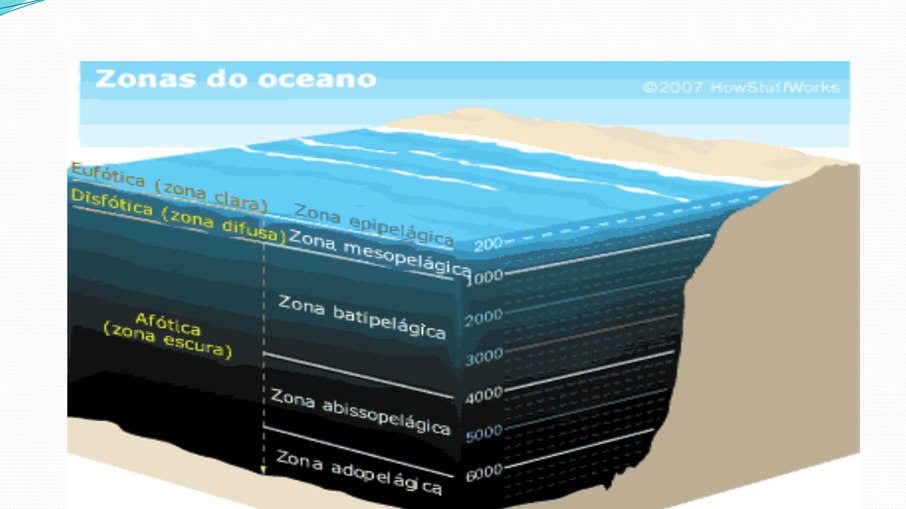 Zonas do oceano