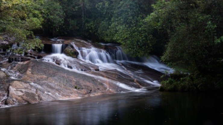 Parque das Neblinas comemora 21 anos de conservação e regeneração ambiental