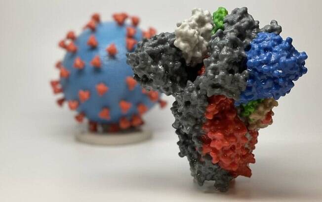 Modelos trídimensionais do novo coronavírus e da proteína spike, que serviu de base para vacina experimental