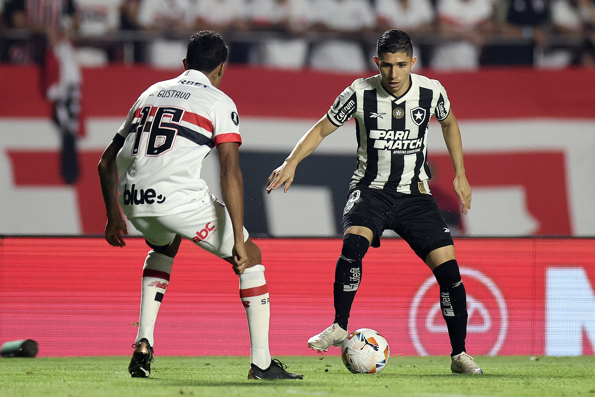 São Paulo x Botafogo Foto: Vítor Silva/Botafogo