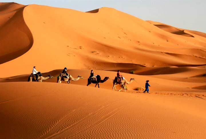 As dunas mais altas chegam a ter 150 metros de altura. As pessoas podem fazer passeios de camelos pela paisagem exuberante.  Reprodução: Flipar