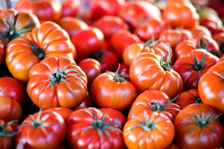 A fama da Itália como produtora de tomates se deve a uma combinação de fatores históricos, climáticos e culturais. Reprodução: Flipar