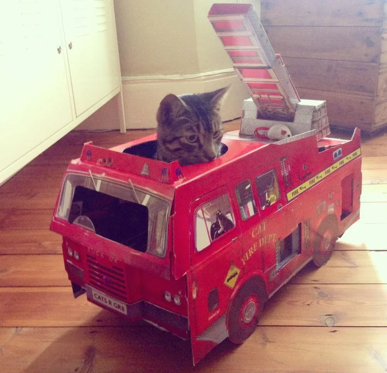 Caminhão de Bombeiros para gatos Reprodução